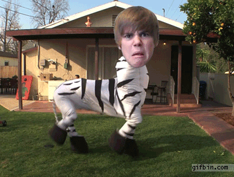 1336405323_justin_bieber_zebra_dance