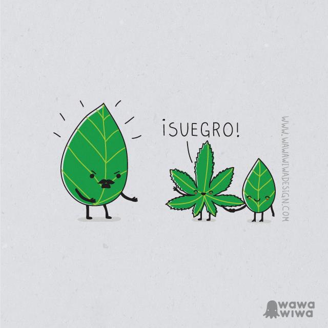 suegro