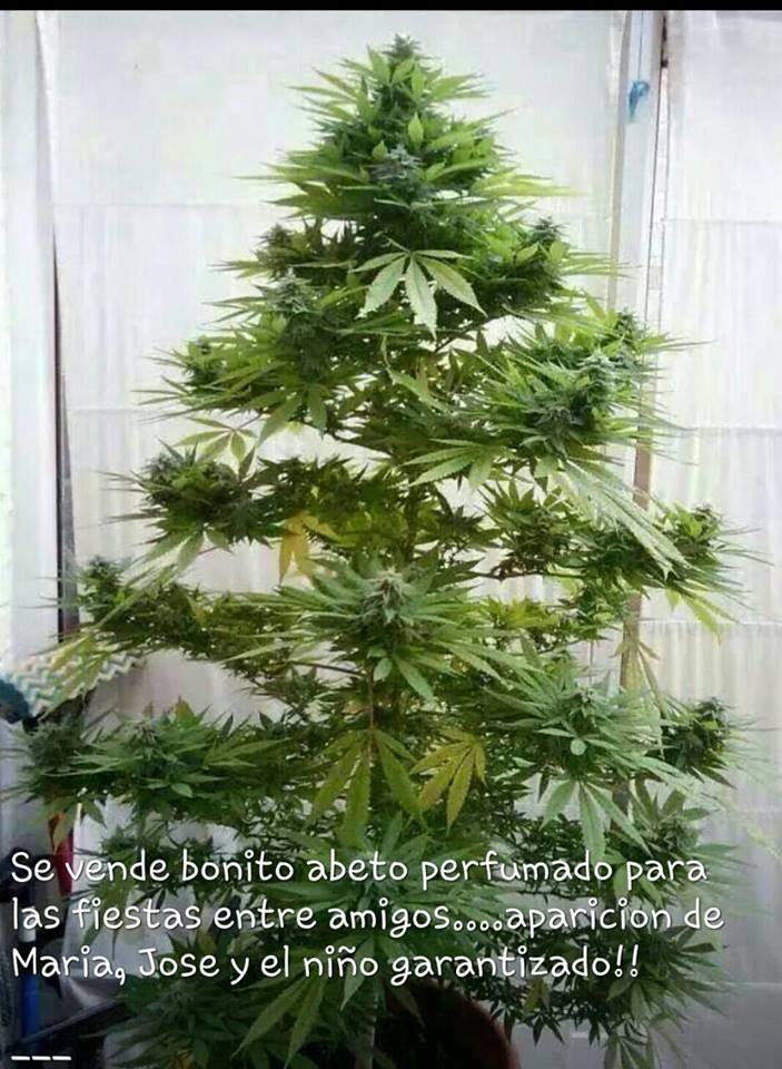 navidad