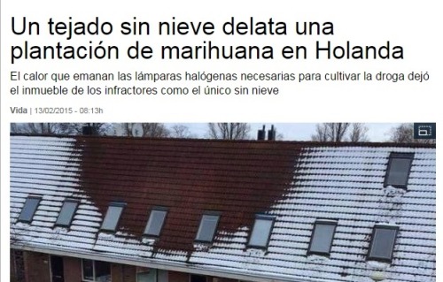 plantacion