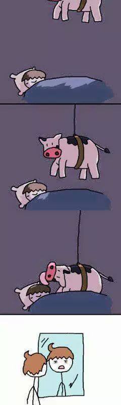 pelo vaca