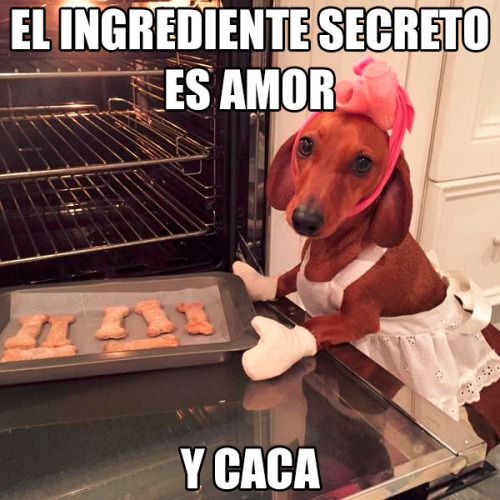 ingrediente secreto