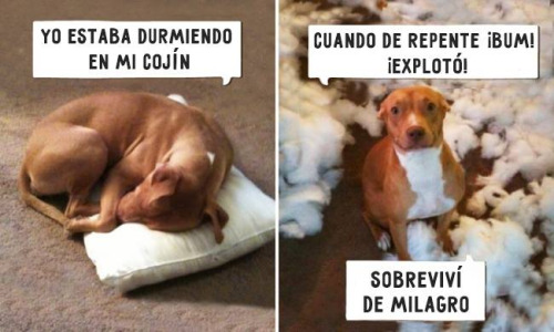 cojines explosivos