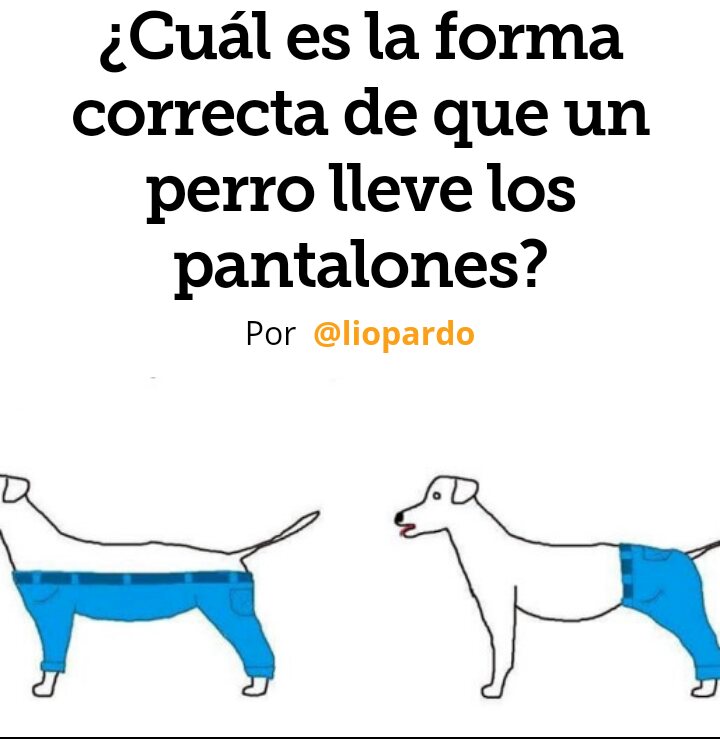 perro