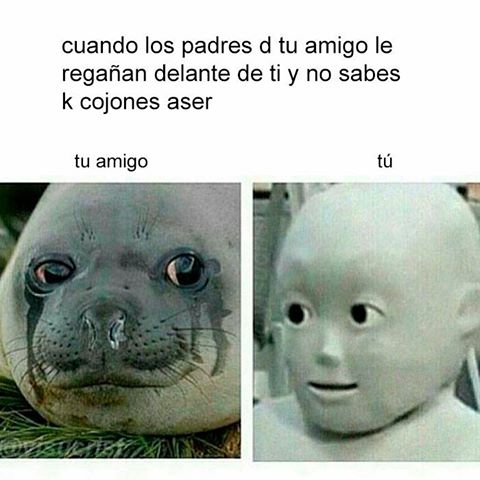 amigo