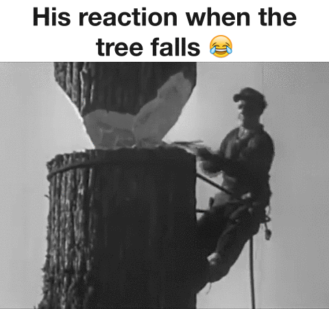 arbol