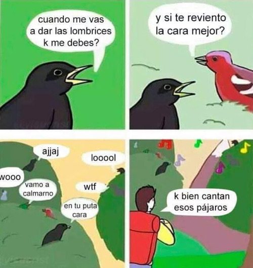 pajaros cantando