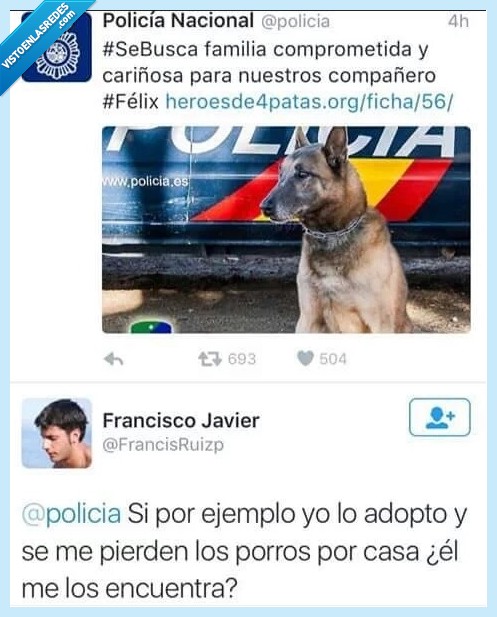 perro porros