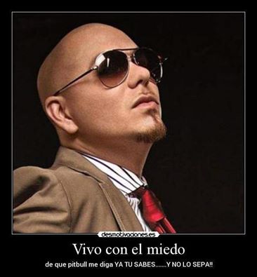 pitbull