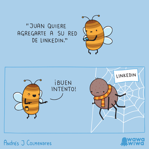 linkedin