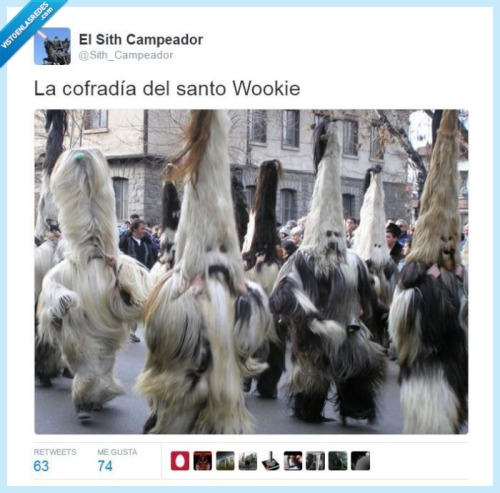 santo wookie