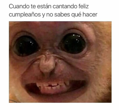 cumple