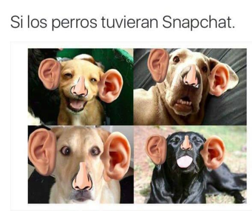 snapchat