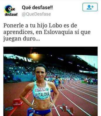 lobo